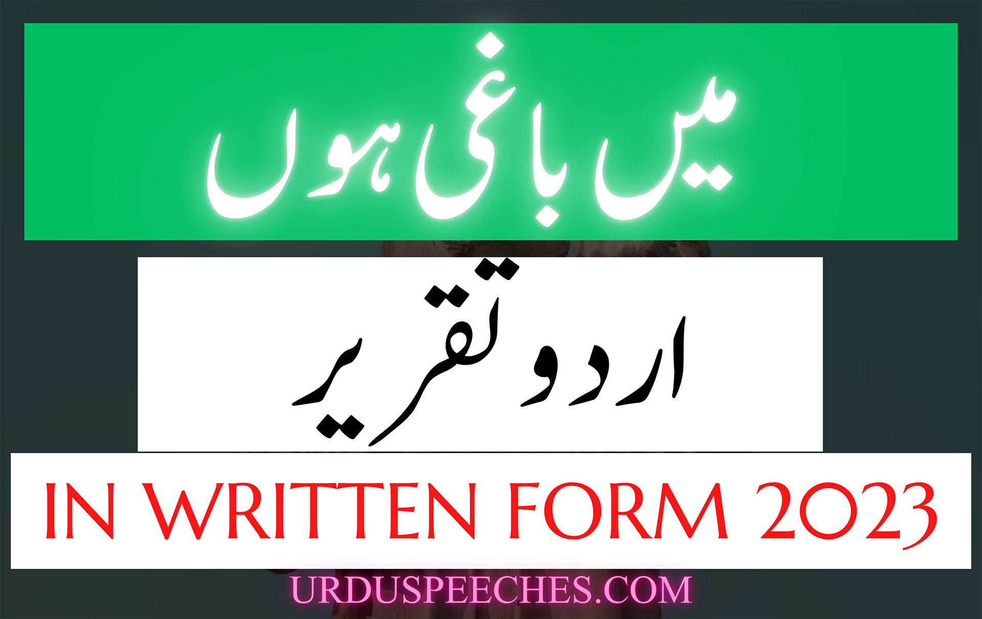 Main Baghi Hoon Urdu Speech in Written Form VIDEO